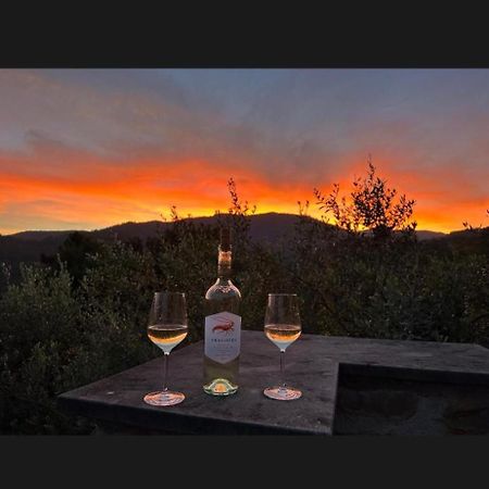 ピエーヴェ・リーグレ Il Gabbiano Di Pieve Bed & Breakfast エクステリア 写真