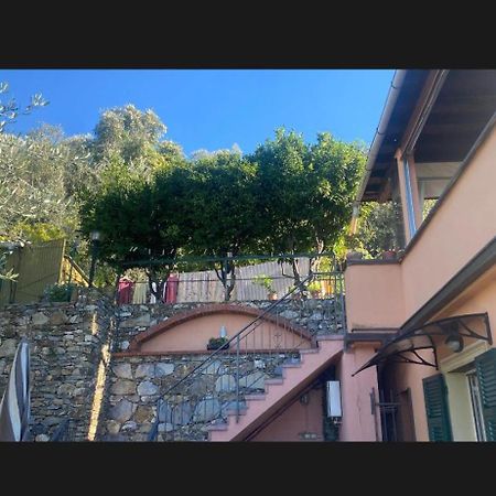 ピエーヴェ・リーグレ Il Gabbiano Di Pieve Bed & Breakfast エクステリア 写真