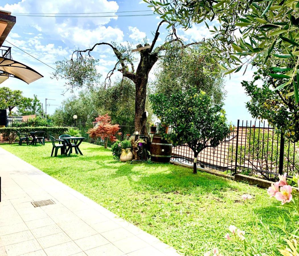 ピエーヴェ・リーグレ Il Gabbiano Di Pieve Bed & Breakfast エクステリア 写真