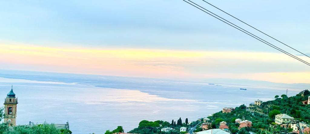 ピエーヴェ・リーグレ Il Gabbiano Di Pieve Bed & Breakfast エクステリア 写真