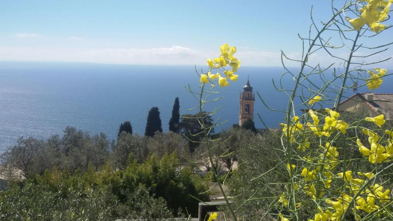 ピエーヴェ・リーグレ Il Gabbiano Di Pieve Bed & Breakfast エクステリア 写真
