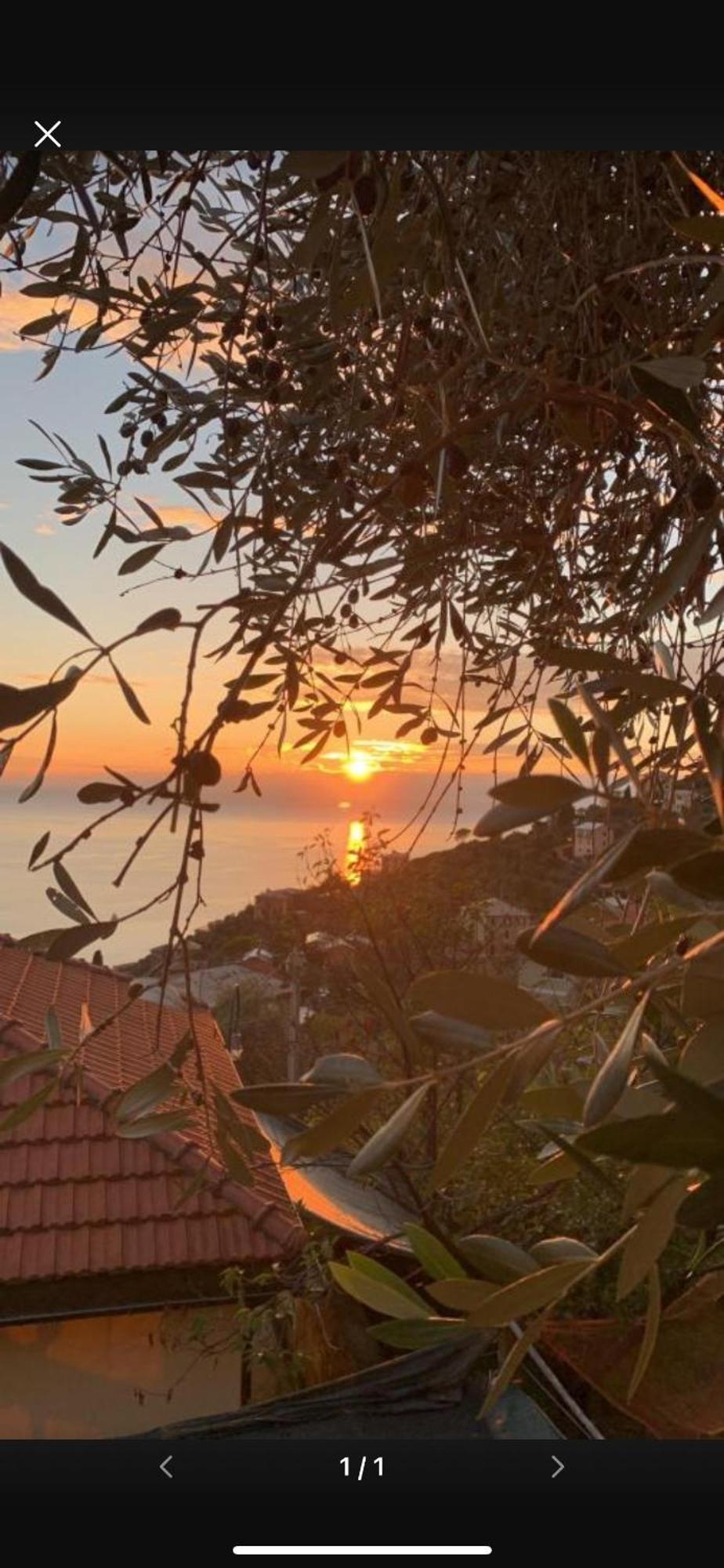 ピエーヴェ・リーグレ Il Gabbiano Di Pieve Bed & Breakfast エクステリア 写真
