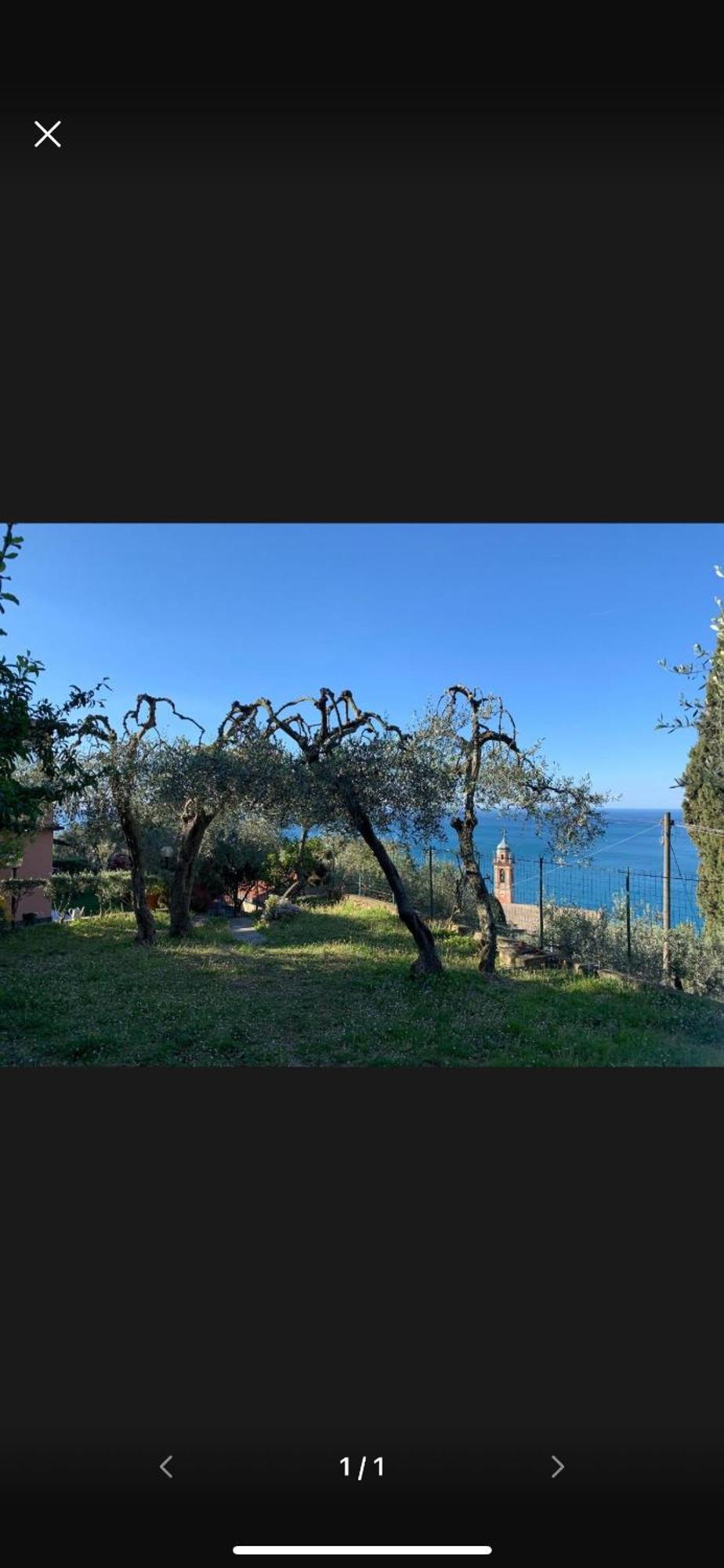 ピエーヴェ・リーグレ Il Gabbiano Di Pieve Bed & Breakfast エクステリア 写真